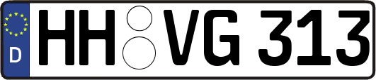 HH-VG313