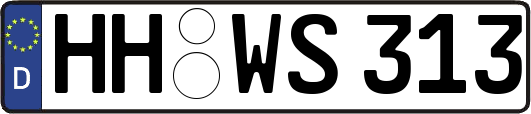 HH-WS313