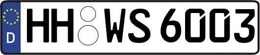 HH-WS6003