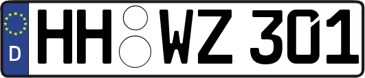 HH-WZ301