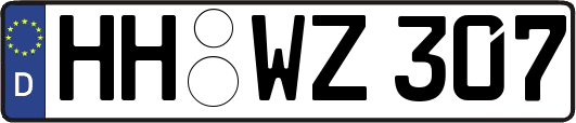 HH-WZ307