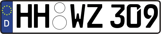 HH-WZ309