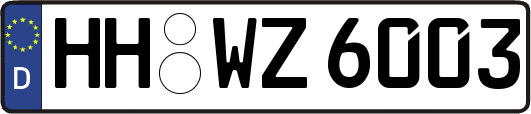 HH-WZ6003