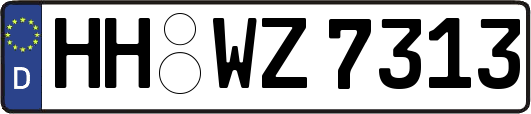 HH-WZ7313