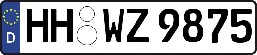 HH-WZ9875