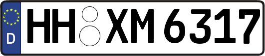 HH-XM6317
