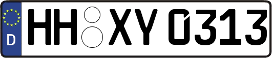 HH-XY0313