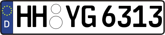 HH-YG6313