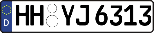 HH-YJ6313