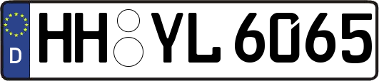 HH-YL6065