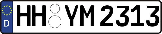 HH-YM2313