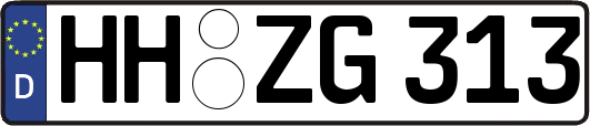 HH-ZG313