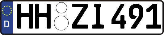 HH-ZI491