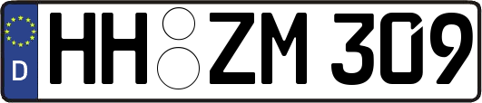 HH-ZM309