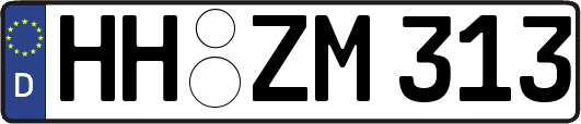 HH-ZM313