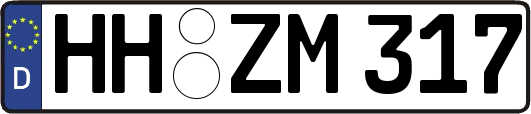 HH-ZM317