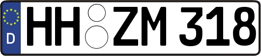 HH-ZM318