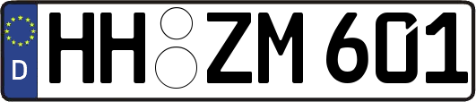 HH-ZM601