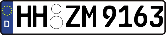 HH-ZM9163