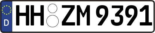 HH-ZM9391