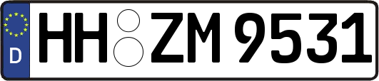 HH-ZM9531