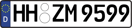 HH-ZM9599