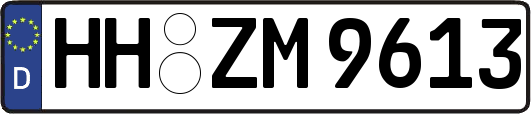 HH-ZM9613