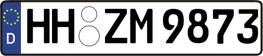 HH-ZM9873