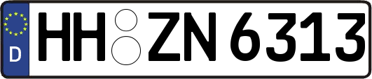 HH-ZN6313
