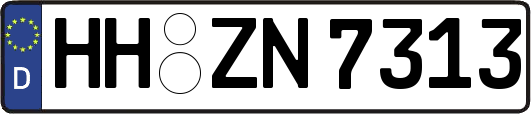 HH-ZN7313