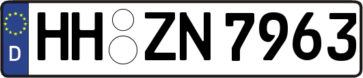 HH-ZN7963