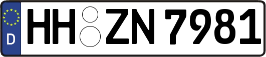HH-ZN7981