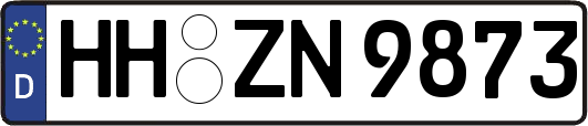 HH-ZN9873