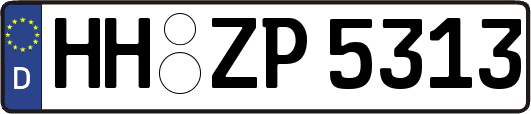HH-ZP5313