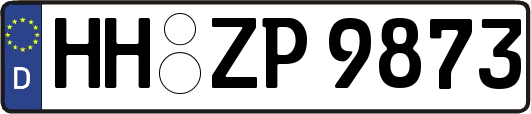 HH-ZP9873