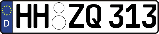 HH-ZQ313