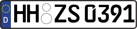 HH-ZS0391