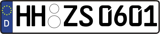 HH-ZS0601