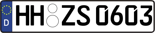 HH-ZS0603