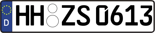 HH-ZS0613