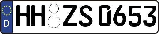 HH-ZS0653