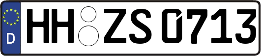 HH-ZS0713