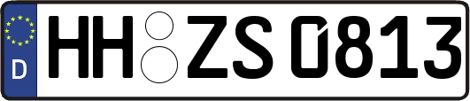 HH-ZS0813
