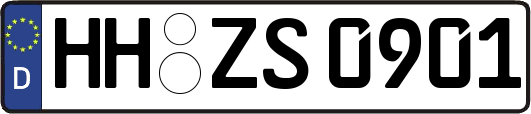 HH-ZS0901