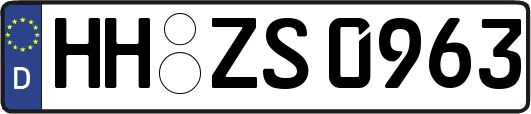 HH-ZS0963