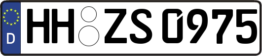 HH-ZS0975