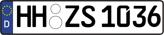 HH-ZS1036