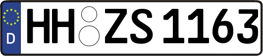 HH-ZS1163