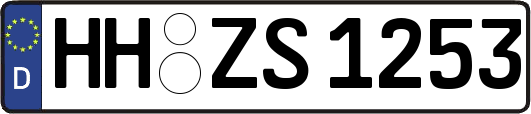 HH-ZS1253