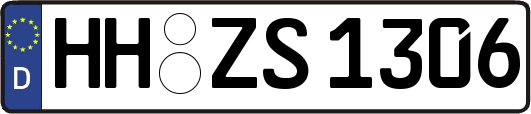 HH-ZS1306